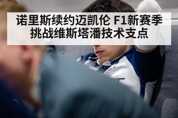 诺里斯续约迈凯伦 F1新赛季挑战维斯塔潘技术支点